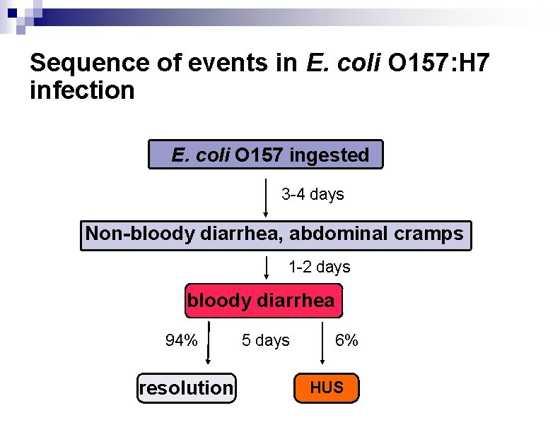 Sequence of events in E. coli O 157: H 7 infection E. coli O