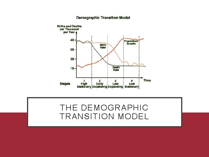 THE DEMOGRAPHIC TRANSITION MODEL 