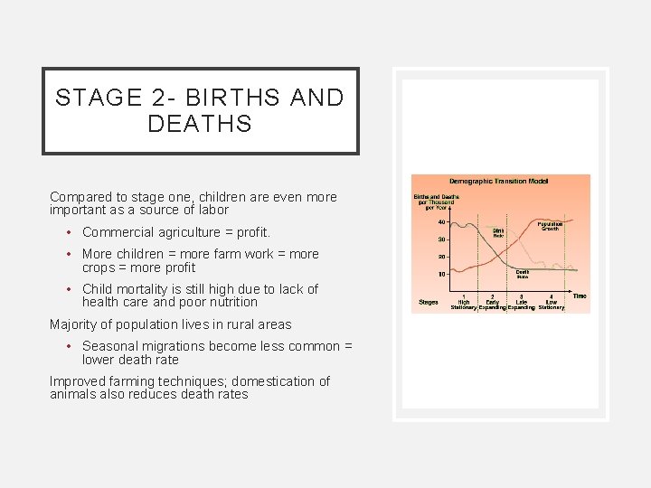 STAGE 2 - BIRTHS AND DEATHS Compared to stage one, children are even more