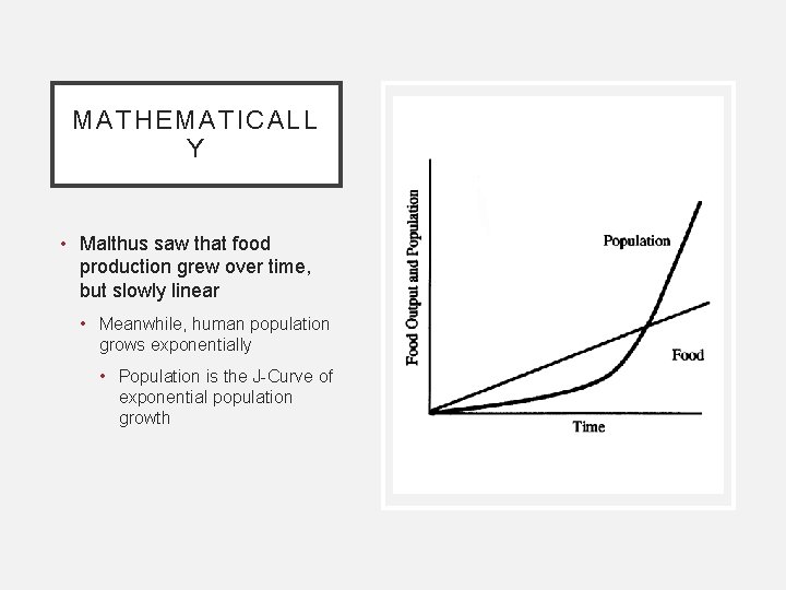 MATHEMATICALL Y • Malthus saw that food production grew over time, but slowly linear