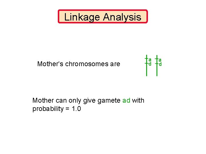 Linkage Analysis Mother’s chromosomes are Mother can only give gamete ad with probability =