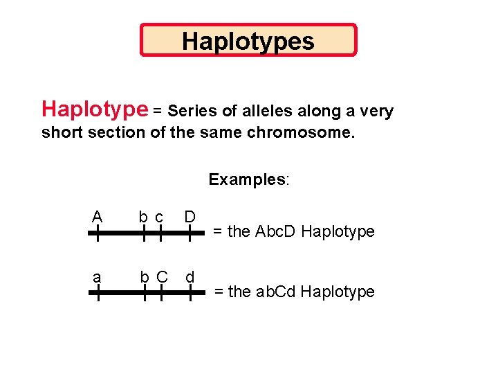 Haplotypes Haplotype = Series of alleles along a very short section of the same