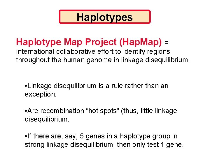 Haplotypes Haplotype Map Project (Hap. Map) = international collaborative effort to identify regions throughout