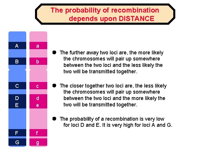 The probability of recombination depends upon DISTANCE A a B b C c D