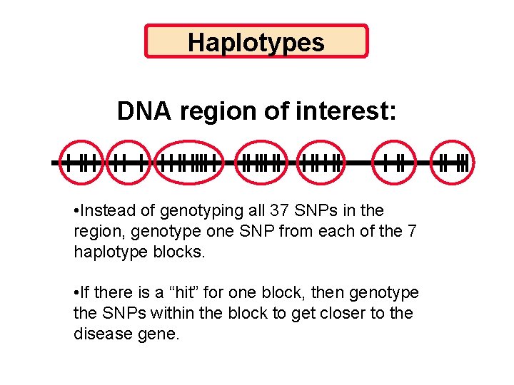 Haplotypes DNA region of interest: • Instead of genotyping all 37 SNPs in the