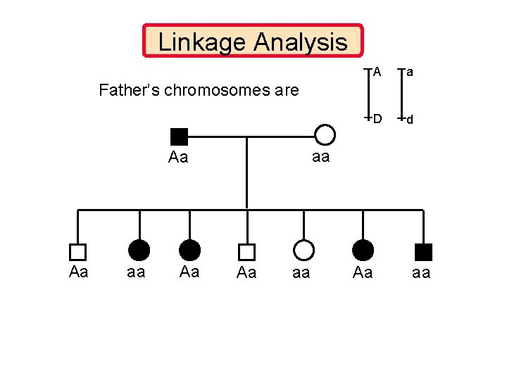 Linkage Analysis A a D d Father’s chromosomes are aa Aa Aa aa 