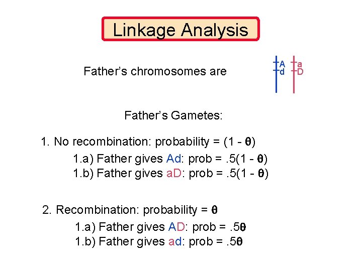 Linkage Analysis Father’s chromosomes are Father’s Gametes: 1. No recombination: probability = (1 -