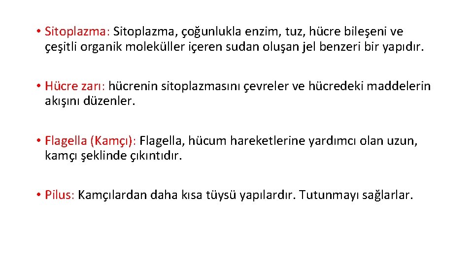  • Sitoplazma: Sitoplazma, çoğunlukla enzim, tuz, hücre bileşeni ve çeşitli organik moleküller içeren