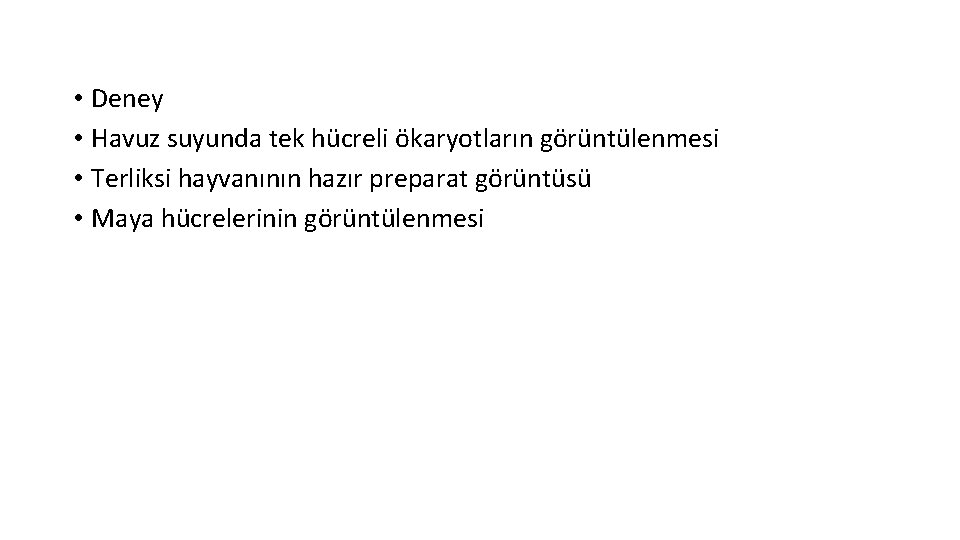  • Deney • Havuz suyunda tek hücreli ökaryotların görüntülenmesi • Terliksi hayvanının hazır
