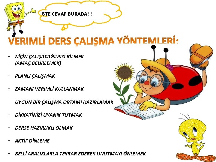 İŞTE CEVAP BURADA!!! • NİÇİN ÇALIŞACAĞIMIZI BİLMEK • (AMAÇ BELİRLEMEK) • PLANLI ÇALIŞMAK •