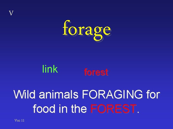 V forage link forest Wild animals FORAGING for food in the FOREST. Voc 11