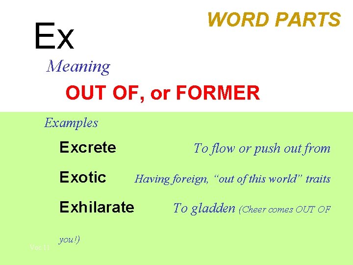 Ex WORD PARTS Meaning OUT OF, or FORMER Examples Excrete Exotic Exhilarate Voc 11