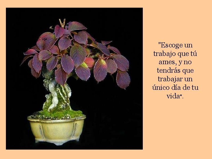 "Escoge un trabajo que tú ames, y no tendrás que trabajar un único día