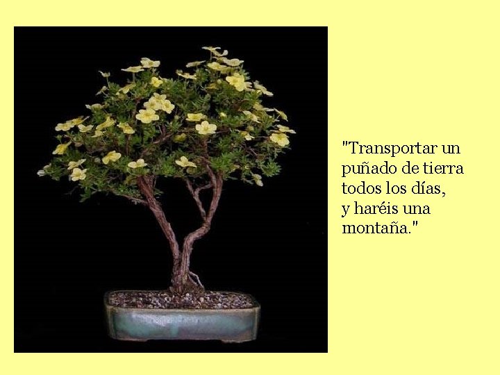 "Transportar un puñado de tierra todos los días, y haréis una montaña. " 