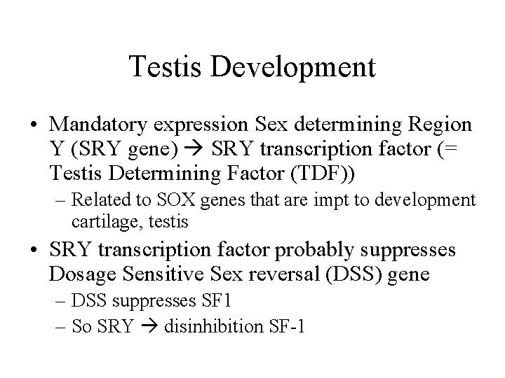 Testis Development • Mandatory expression Sex determining Region Y (SRY gene) SRY transcription factor