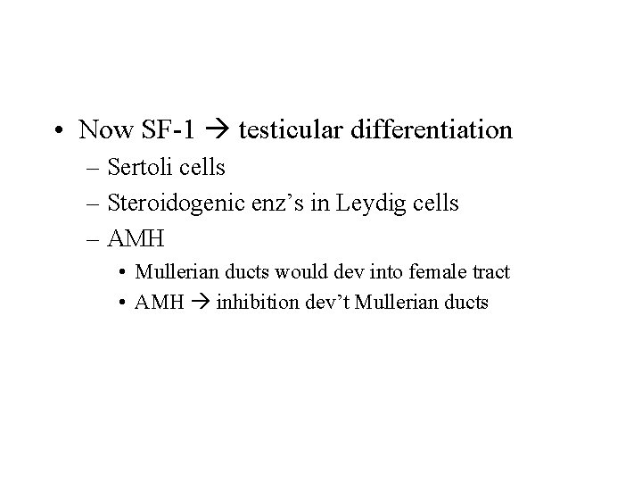  • Now SF-1 testicular differentiation – Sertoli cells – Steroidogenic enz’s in Leydig