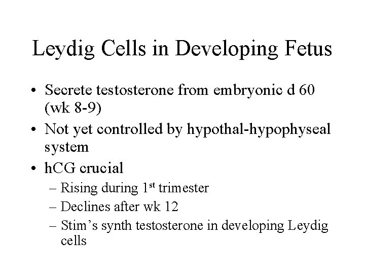 Leydig Cells in Developing Fetus • Secrete testosterone from embryonic d 60 (wk 8