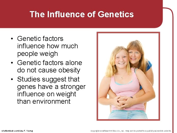 The Influence of Genetics • Genetic factors influence how much people weigh • Genetic