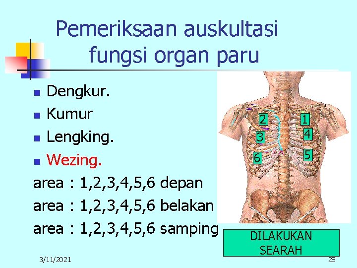 Pemeriksaan auskultasi fungsi organ paru Dengkur. n Kumur n Lengking. n Wezing. area :