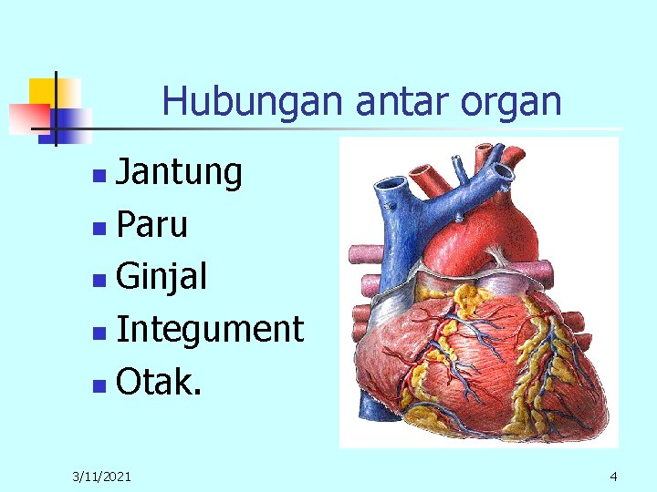 Hubungan antar organ Jantung n Paru n Ginjal n Integument n Otak. n 3/11/2021