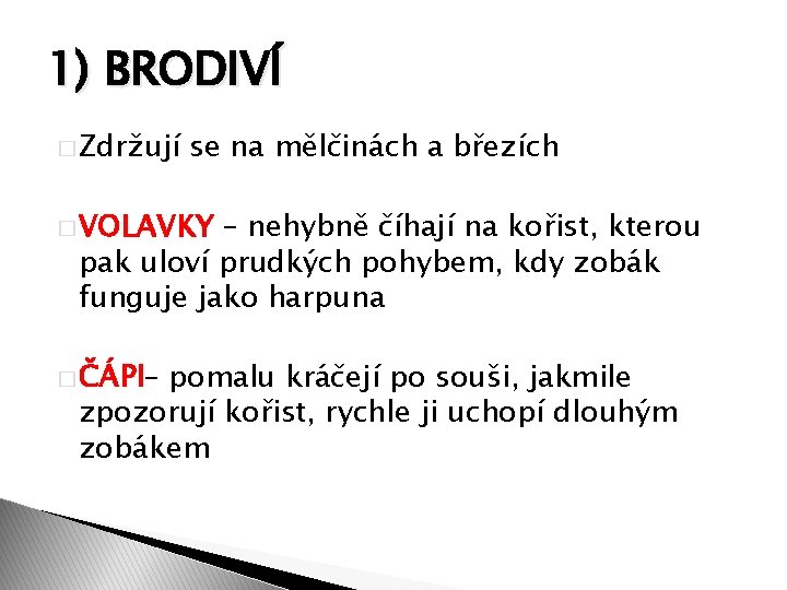1) BRODIVÍ � Zdržují se na mělčinách a březích � VOLAVKY – nehybně číhají