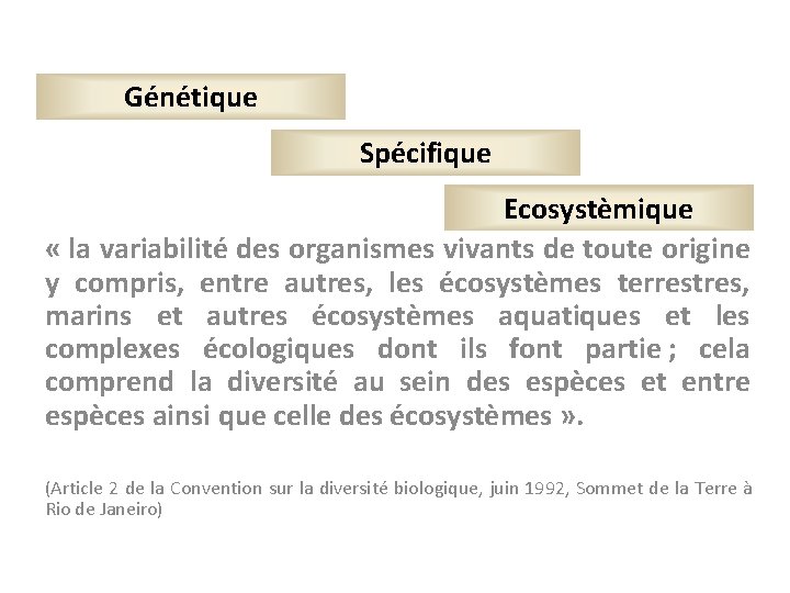 Génétique Spécifique Ecosystèmique « la variabilité des organismes vivants de toute origine y compris,