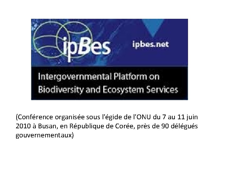 (Conférence organisée sous l'égide de l'ONU du 7 au 11 juin 2010 à Busan,
