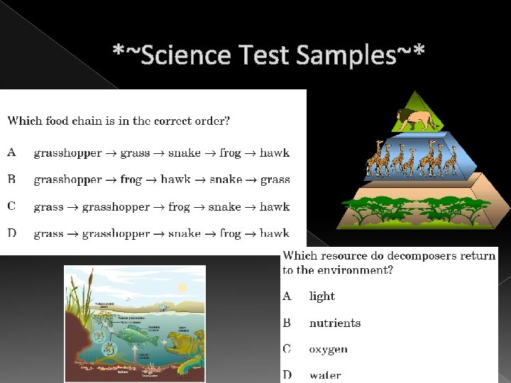 *~Science Test Samples~* 