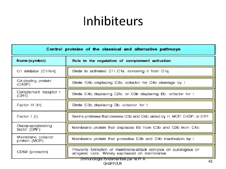 Inhibiteurs Immunologie fondamentale par le Pr A GHAFFOUR 43 