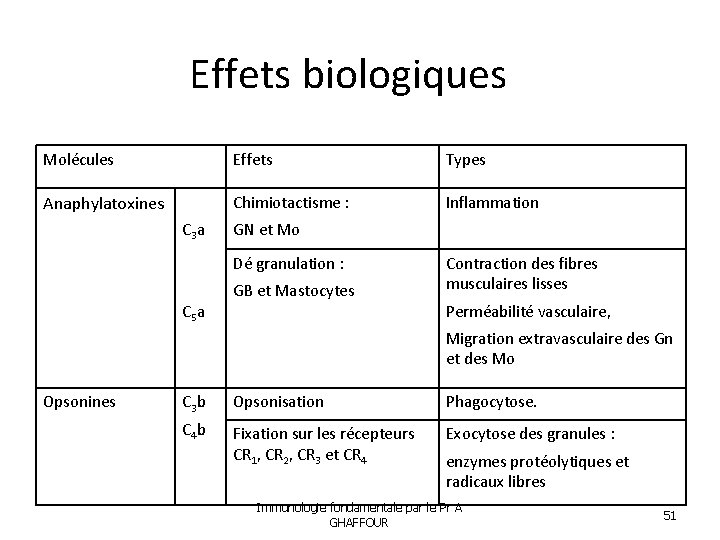 Effets biologiques Molécules Effets Types Anaphylatoxines Chimiotactisme : Inflammation C 3 a GN et