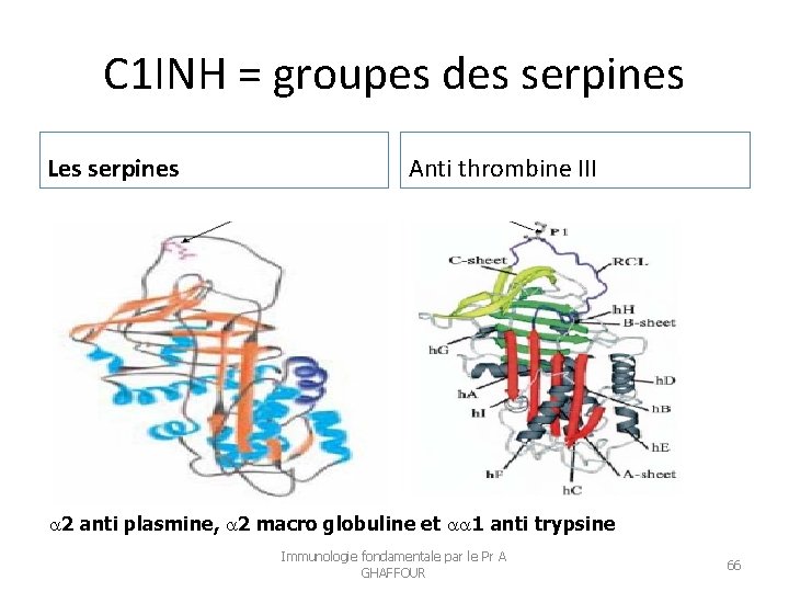 C 1 INH = groupes des serpines Les serpines Anti thrombine III 2 anti