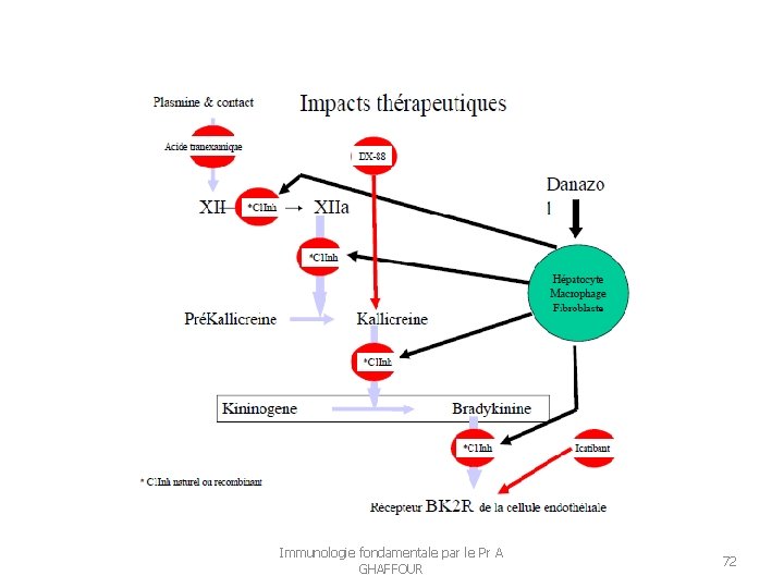 Immunologie fondamentale par le Pr A GHAFFOUR 72 