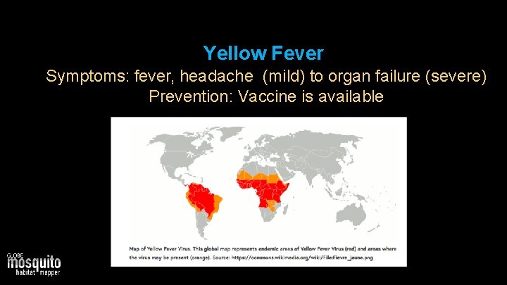 Yellow Fever • Symptoms: fever, headache (mild) to organ failure (severe) • Prevention: Vaccine