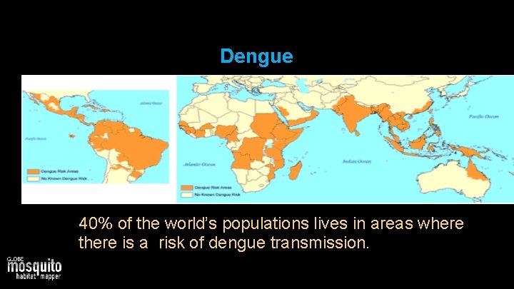 Dengue • 40% of the world’s populations lives in areas where there is a