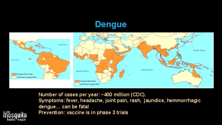 Dengue • Number of cases per year: ~400 million (CDC). • Symptoms: fever, headache,