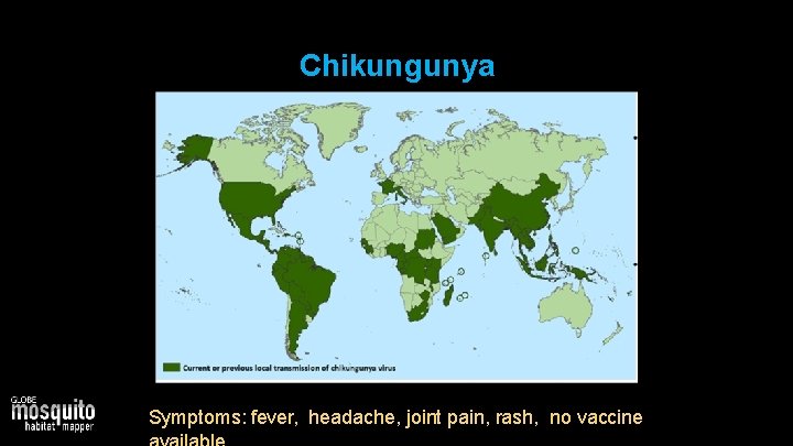 Chikungunya Symptoms: fever, headache, joint pain, rash, no vaccine 