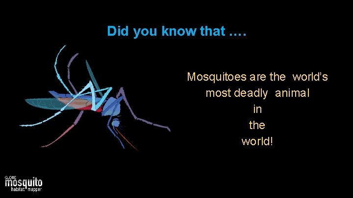 Did you know that …. Mosquitoes are the world’s most deadly animal in the