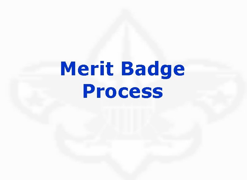 Merit Badge Process 