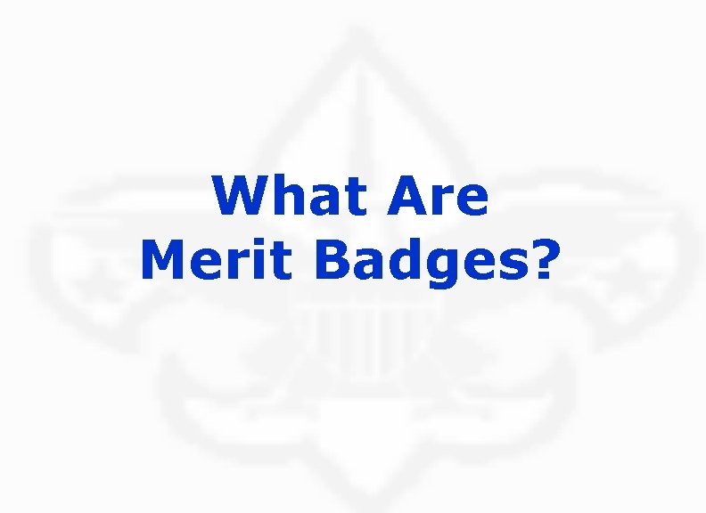 What Are Merit Badges? 