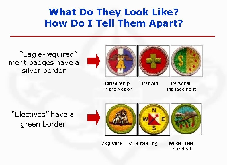 What Do They Look Like? How Do I Tell Them Apart? “Eagle-required” merit badges