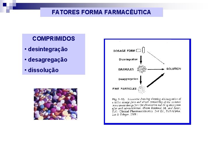 FATORES FORMA FARMACÊUTICA COMPRIMIDOS • desintegração • desagregação • dissolução 