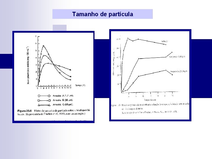 Tamanho de partícula 