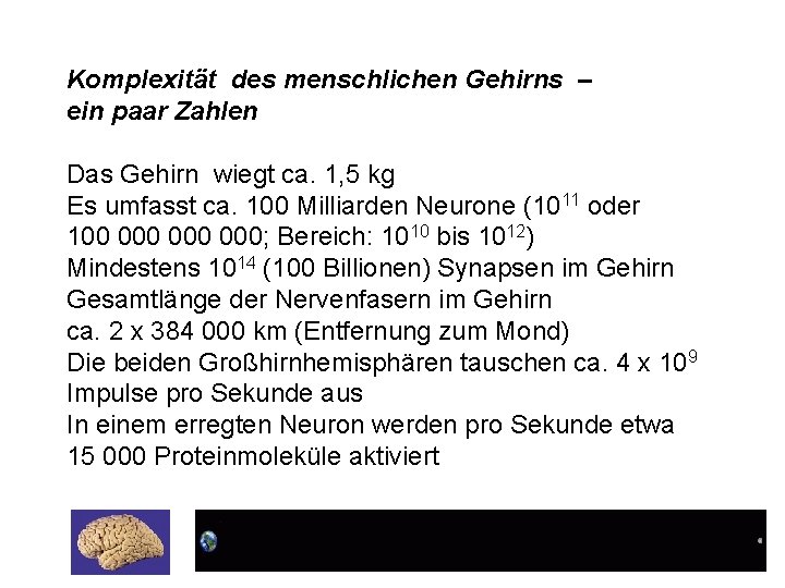 Komplexität des menschlichen Gehirns – ein paar Zahlen Das Gehirn wiegt ca. 1, 5