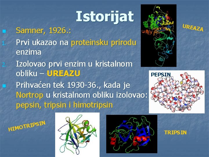 Istorijat n 1. 2. n Samner, 1926. : Prvi ukazao na proteinsku prirodu enzima