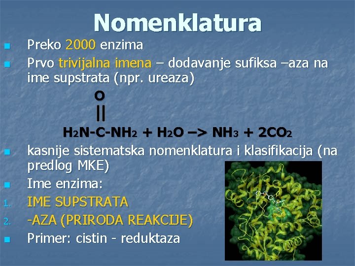 Nomenklatura n n 1. 2. n Preko 2000 enzima Prvo trivijalna imena – dodavanje