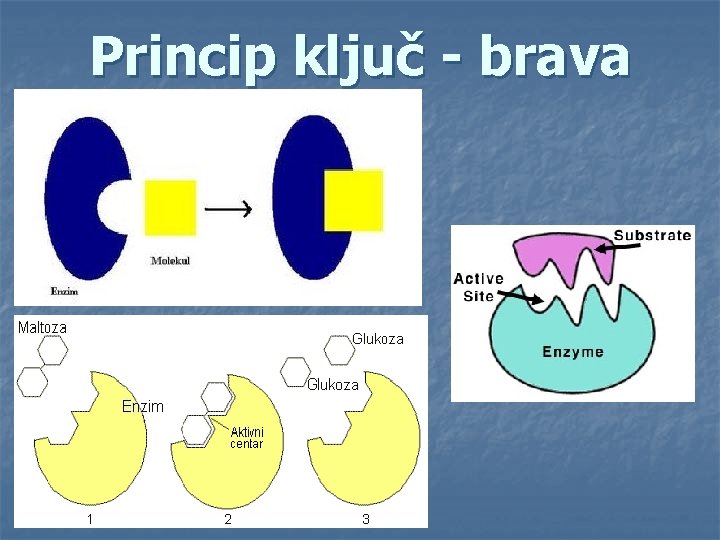 Princip ključ - brava 