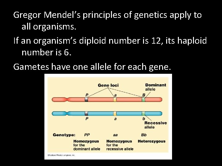 Gregor Mendel’s principles of genetics apply to all organisms. If an organism’s diploid number