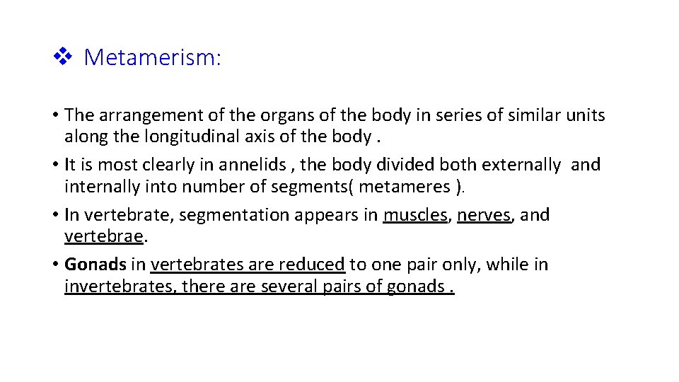 v Metamerism: • The arrangement of the organs of the body in series of