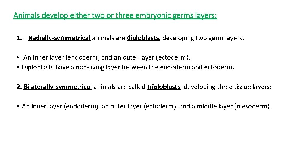 Animals develop either two or three embryonic germs layers: 1. Radially-symmetrical animals are diploblasts,
