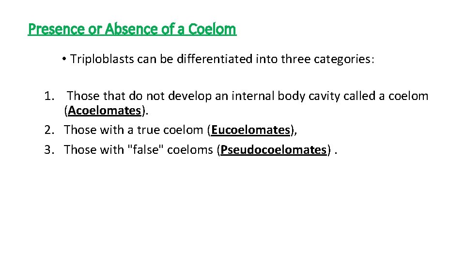 Presence or Absence of a Coelom • Triploblasts can be differentiated into three categories:
